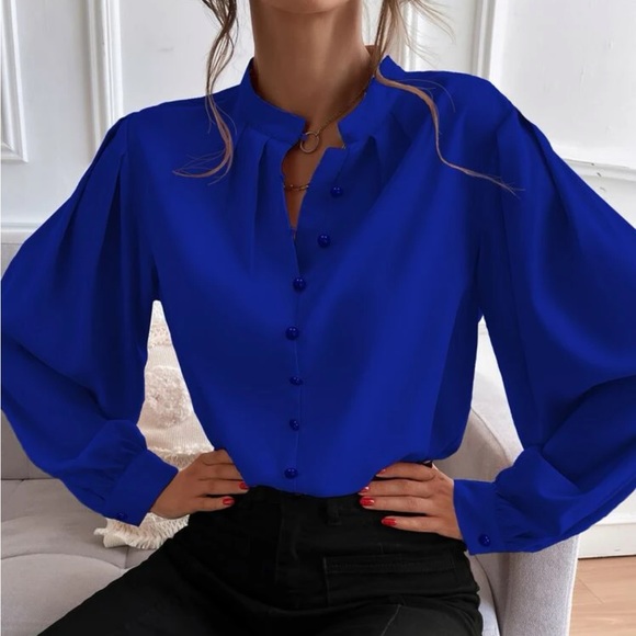 Tops - Luxurious satin bishop sleeve blouse